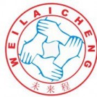 北京未來(lái)程科技有限公司